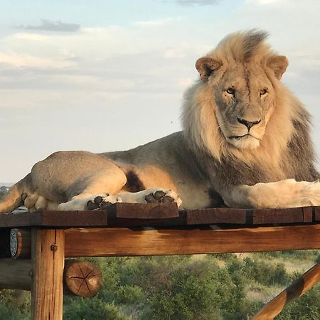 Weltevreden Game Lodge Bloemfontein Eksteriør bilde