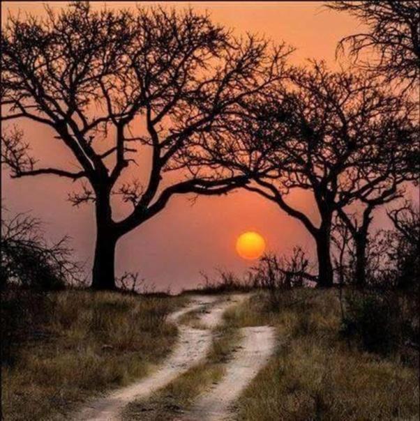 Weltevreden Game Lodge Bloemfontein Eksteriør bilde