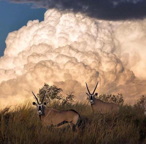 Weltevreden Game Lodge Bloemfontein Eksteriør bilde