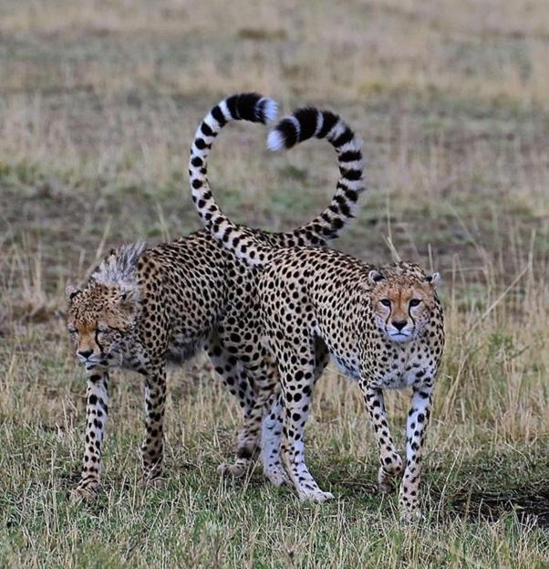 Weltevreden Game Lodge Bloemfontein Eksteriør bilde