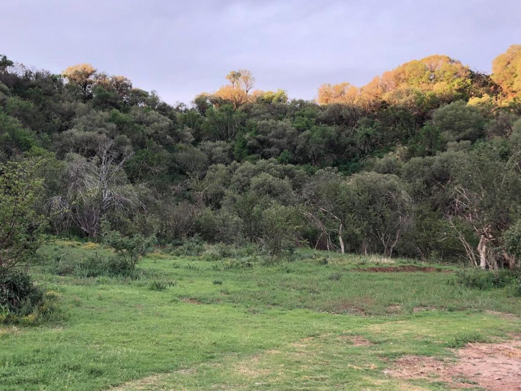 Weltevreden Game Lodge Bloemfontein Eksteriør bilde