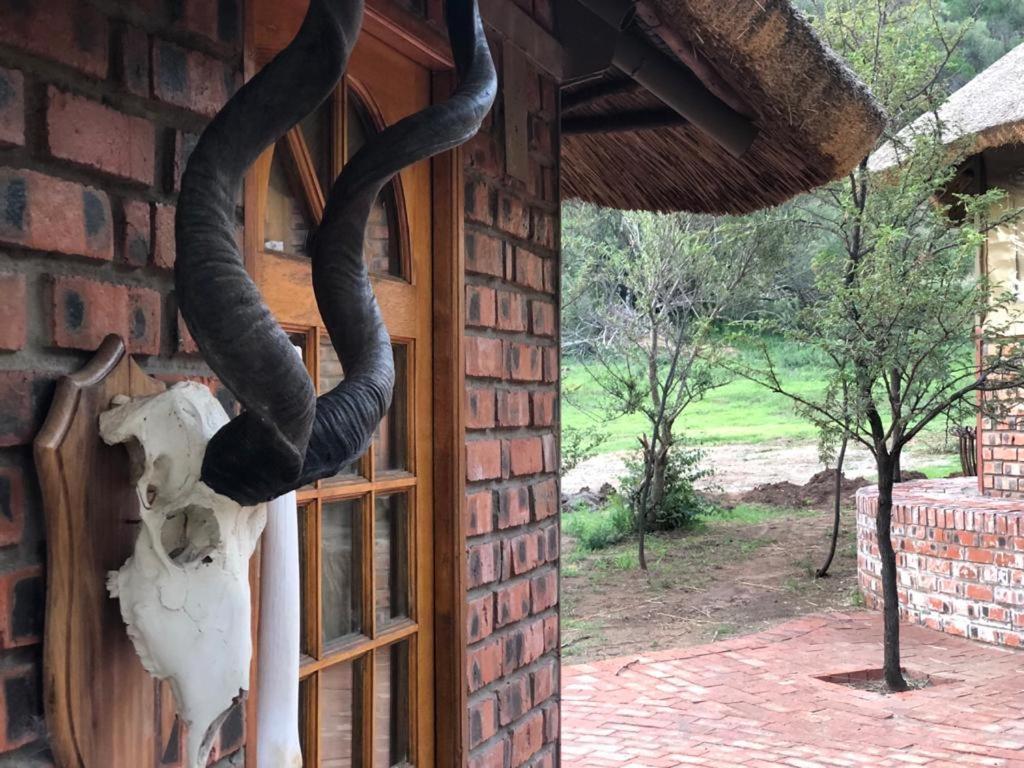 Weltevreden Game Lodge Bloemfontein Eksteriør bilde